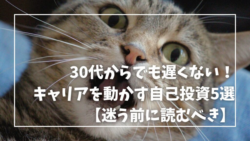30代からでも遅くない！キャリアを動かす自己投資5選【迷う前に読むべき】