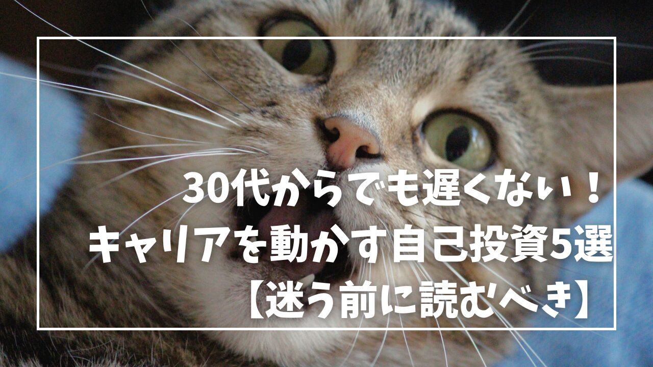 30代からでも遅くない！キャリアを動かす自己投資5選【迷う前に読むべき】